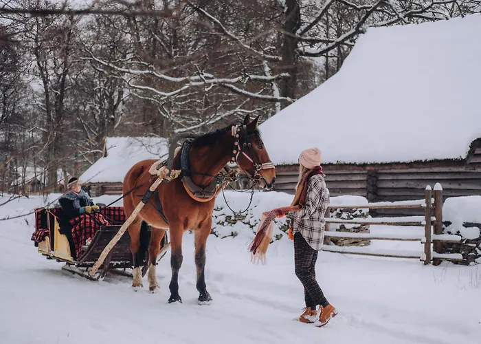 Elegant Seaview Penthouse 3br Ensuite Luxury Retreat With Sauna And Free Parking *